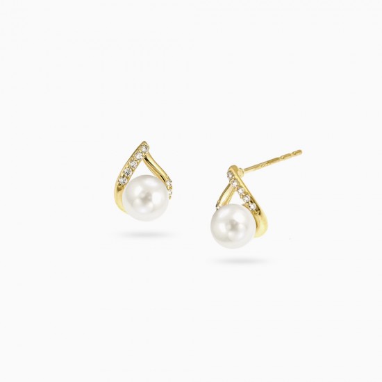 이미지 상세보기